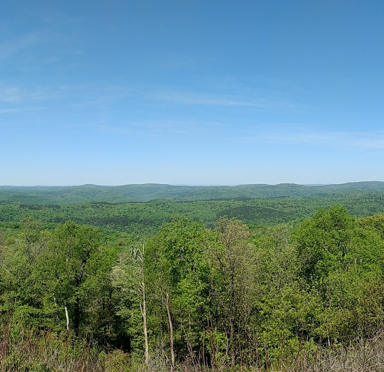 Rotary Ann Overlook